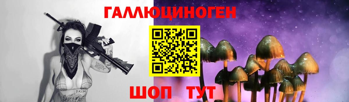 Псилоцибиновые грибы Cubensis  Псилоцибиновые грибы Cubensis  Вход с VPN  Нижнеудинск 